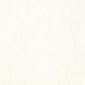 Английская ткань Designers Guild, коллекция Phipps, артикул F1743/01