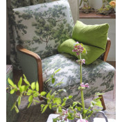 Английская ткань Designers Guild, коллекция Picture Book III, артикул FJD6045/01