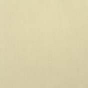 Английская ткань Designers Guild, коллекция Satinato 2, артикул F1614/19