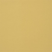 Английская ткань Designers Guild, коллекция Satinato 2, артикул F1614/23