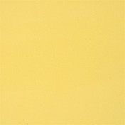 Английская ткань Designers Guild, коллекция Satinato 2, артикул F1614/25