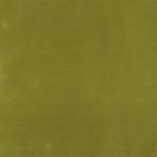 Английская ткань Designers Guild, коллекция Satinato, артикул F1505/05