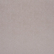 Английская ткань Designers Guild, коллекция Sesia, артикул FDG2747/24