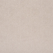 Английская ткань Designers Guild, коллекция Sesia, артикул FDG2747/25