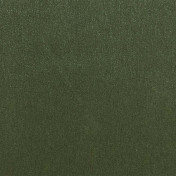 Английская ткань Designers Guild, коллекция Silvretta, артикул FDG3157/01