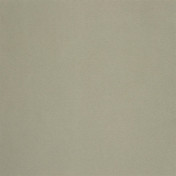 Английская ткань Designers Guild, коллекция Tanara, артикул FT1978/04