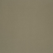 Английская ткань Designers Guild, коллекция Tanara, артикул FT1978/06