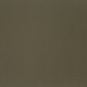 Английская ткань Designers Guild, коллекция Tanara, артикул FT1978/08