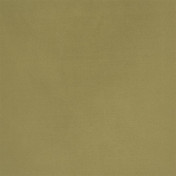 Английская ткань Designers Guild, коллекция Tanara, артикул FT1978/15