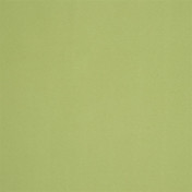 Английская ткань Designers Guild, коллекция Tanara, артикул FT1978/16