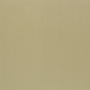 Английская ткань Designers Guild, коллекция Tiber, артикул F1737/06