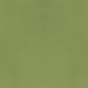 Английская ткань Designers Guild, коллекция Velluto II, артикул FDG2704/56