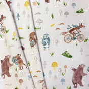 Испанская ткань Дом Caro, коллекция Adventure, артикул Agosto/01