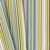 Испанская ткань Дом Caro, коллекция Adventure, артикул Amazonia/01