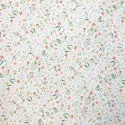 Испанская ткань Дом Caro, коллекция Adventure, артикул Campo/01