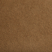 Испанская ткань Дом Caro, коллекция Astracan, артикул Asrtacan/06