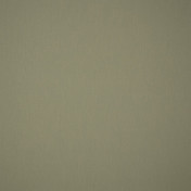 Испанская ткань Дом Caro, коллекция Sunbrella vol.2 Be Leaf, артикул Solids/3983