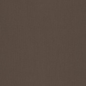 Испанская ткань Дом Caro, коллекция Sunbrella vol.3 Sandy soil, артикул Solids/3127