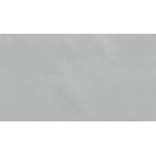 Испанская ткань Дом Caro, коллекция Trio, артикул Dos/1227/01