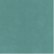 Французская ткань Elitis, коллекция Hotel Particulier II, артикул TV564/41