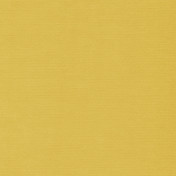 Французская ткань Elitis, коллекция Lutece, артикул TV32022