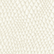 Французская ткань Elitis, коллекция Nuits blanches, артикул TV 559 02