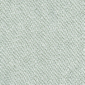 Французская ткань Elitis, коллекция Nuits blanches, артикул TV 560 63