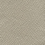 Французская ткань Elitis, коллекция Nuits blanches, артикул TV 561 05