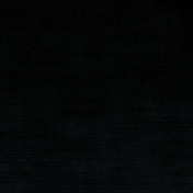 Французская ткань Elitis, коллекция Raphael, артикул TV56380