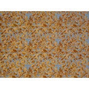 Немецкая ткань Espocada, коллекция Elysium, артикул 2767/39