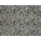 Немецкая ткань Espocada, коллекция Elysium, артикул 2767/51