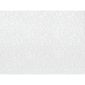 Немецкая ткань Espocada, коллекция Evolution, артикул 2639/10