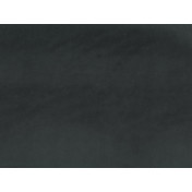 Немецкая ткань Espocada, коллекция Zephir, артикул 2717/79