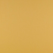 Испанская ткань Gaston y Daniela, коллекция Texas, артикул GDT5068-007