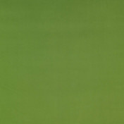 Испанская ткань Gaston y Daniela, коллекция Texas, артикул GDT5143-012