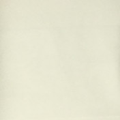 Испанская ткань Gaston y Daniela, коллекция Uruguay 2, артикул GDT5165-002