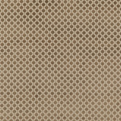 Английская ткань GP & J Baker, коллекция Coromandel Velvets, артикул BF10826/240