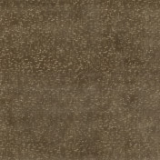 Английская ткань GP & J Baker, коллекция Coromandel Velvets, артикул BF10827/240