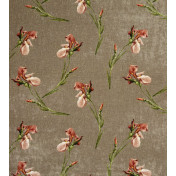 Английская ткань GP & J Baker, коллекция Signature Velvets, артикул BP10819/1