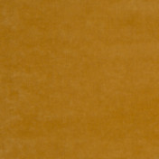 Английская ткань GP & J Baker, коллекция Rio velvets, артикул BF10553/818