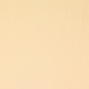 Французская ткань Manuel Canovas, коллекция Fabry, артикул 04985/03