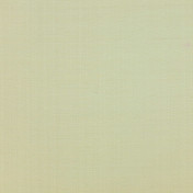 Французская ткань Manuel Canovas, коллекция Nanda, артикул 04955/03