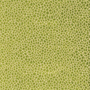 Английская ткань Matthew Williamson, коллекция Samana, артикул F6632-01