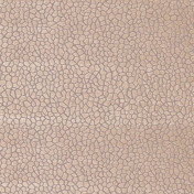 Английская ткань Matthew Williamson, коллекция Samana, артикул F6632-02