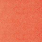 Английская ткань Matthew Williamson, коллекция Samana, артикул F6632-06