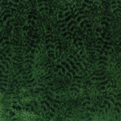 Английская ткань Nina Campbell, коллекция Cathay Weaves, артикул NCF4160-03