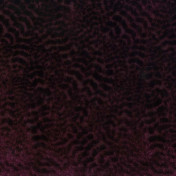 Английская ткань Nina Campbell, коллекция Cathay Weaves, артикул NCF4160-05