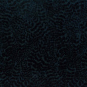 Английская ткань Nina Campbell, коллекция Cathay Weaves, артикул NCF4160-10