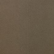 Французская ткань Nobilis, коллекция Mirage, артикул 10404.05