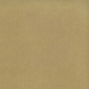 Английская ткань Osborne & Little, коллекция Lorimer, артикул F6600-11 Английская ткань Osborne & Little, коллекция Lorimer, артикул F6600-11